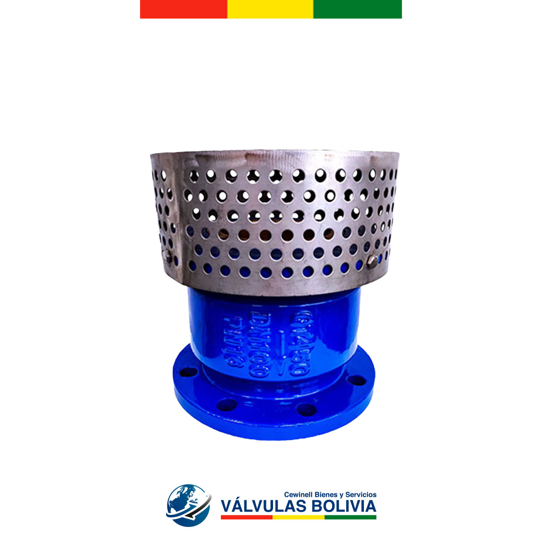 Válvula check canastilla bridada