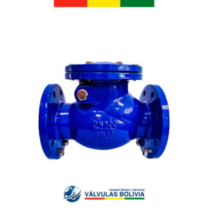 Válvula check swing