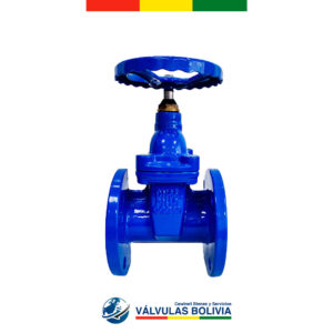 Válvula compuerta bridada